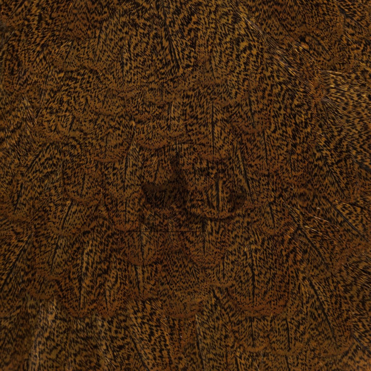 Close-up of Whiting Coq de Leon hen saddle showcasing speckled golden olive feathers with dense black ticking on a dark background