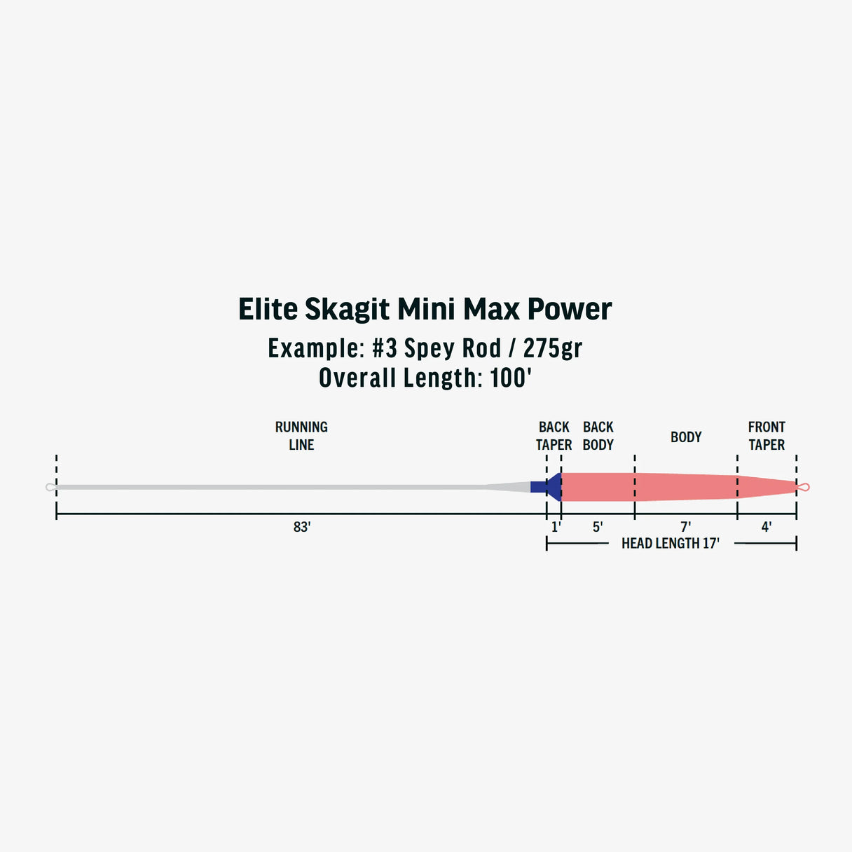 RIO Elite Integrated Skagit Mini Max Power