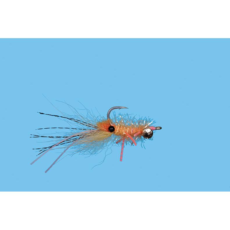 Pimp Shrimp (Brass Eyes)