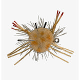 Top view of RIO's Prize Fighter heavyweight fly with tan foam body, rubber legs, hackle fibers and exposed hook