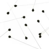 EP Crab / Shrimp Eyes