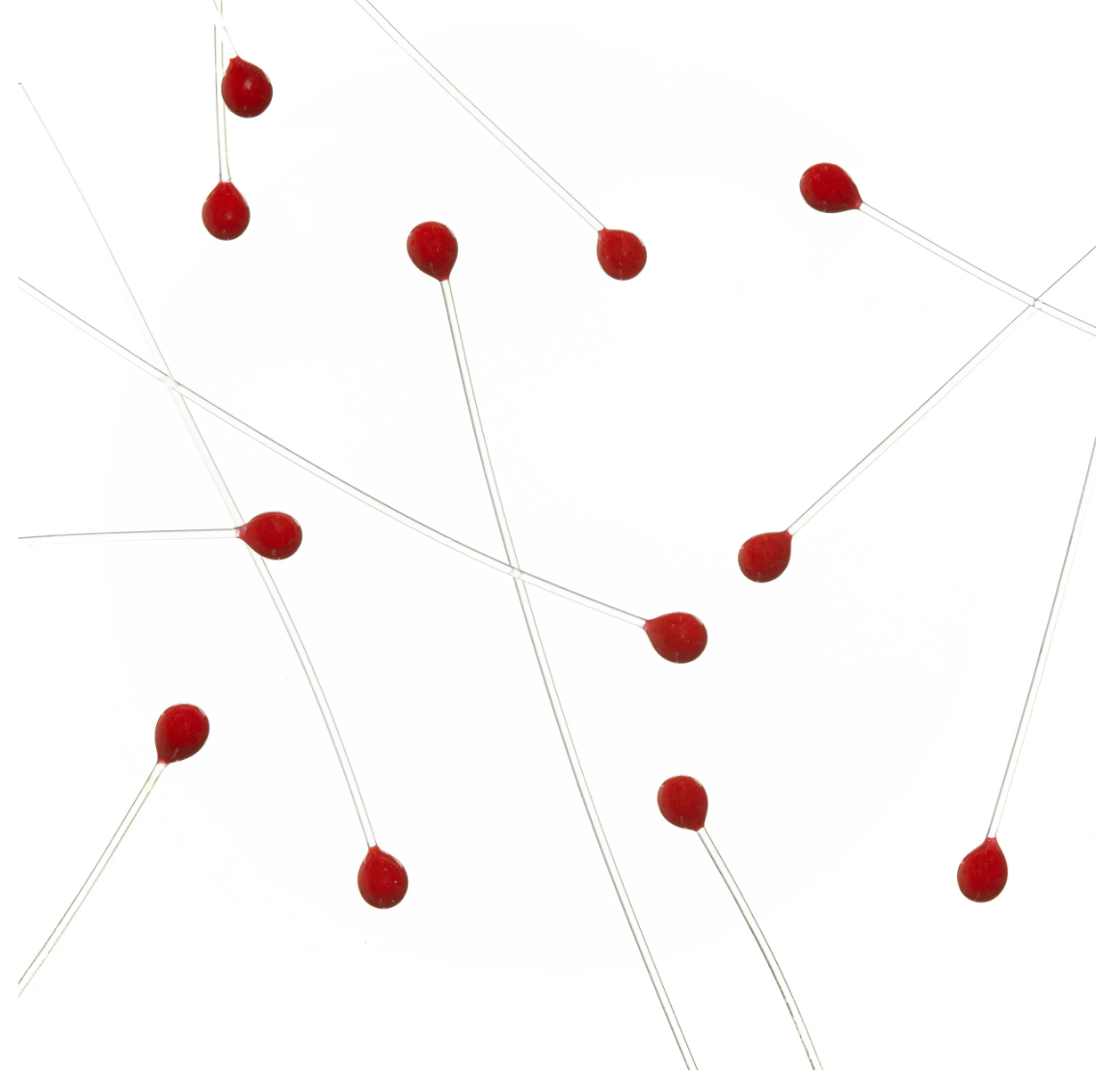 EP Crab / Shrimp Eyes