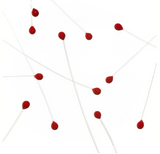 EP Crab / Shrimp Eyes