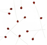 EP Crab / Shrimp Eyes