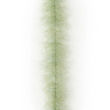 Lt. Olive