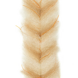 EP Crustaceous Brush