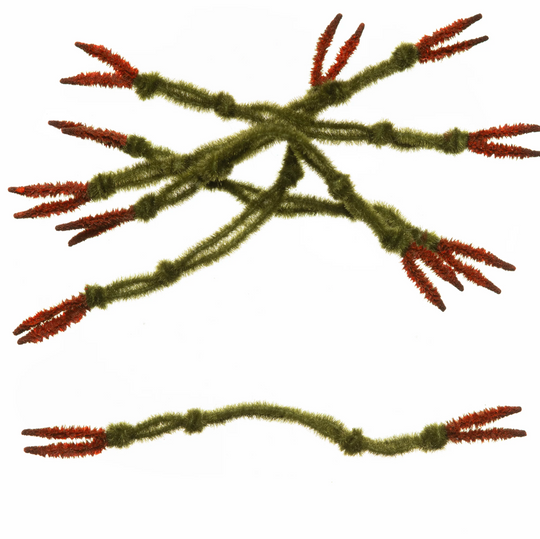 EP Crab Claw