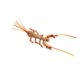 Mitchell's Heavy WTF Creepy Crawler - Size 4