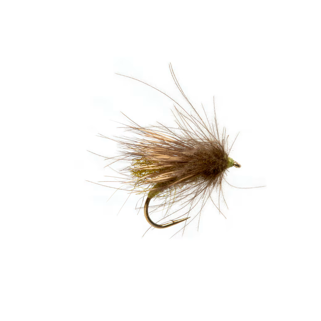 Dusty Old Bat Caddis Barbless - Olive