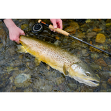 Angler holding a large brown trout in shallow rocky water with a Thomas & Thomas Contact III+ 10 foot 9 inch fly rod visible