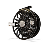 Abel SDS Solid - Portrait of a Permit - Size 11/12