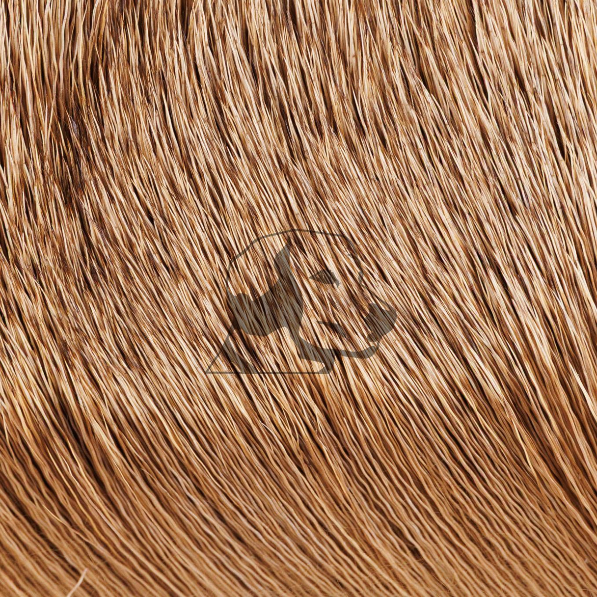 Deer Body Hair