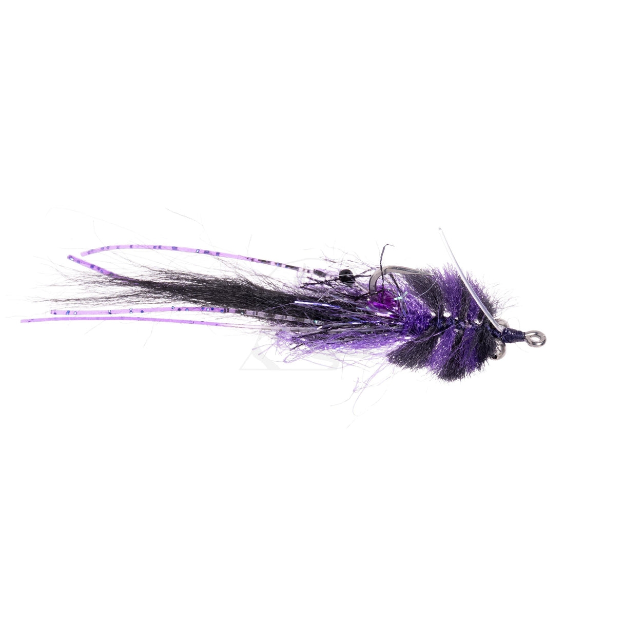 Texas Toad - Black/Purple - Size 2