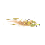 Texas Toad - Size 2