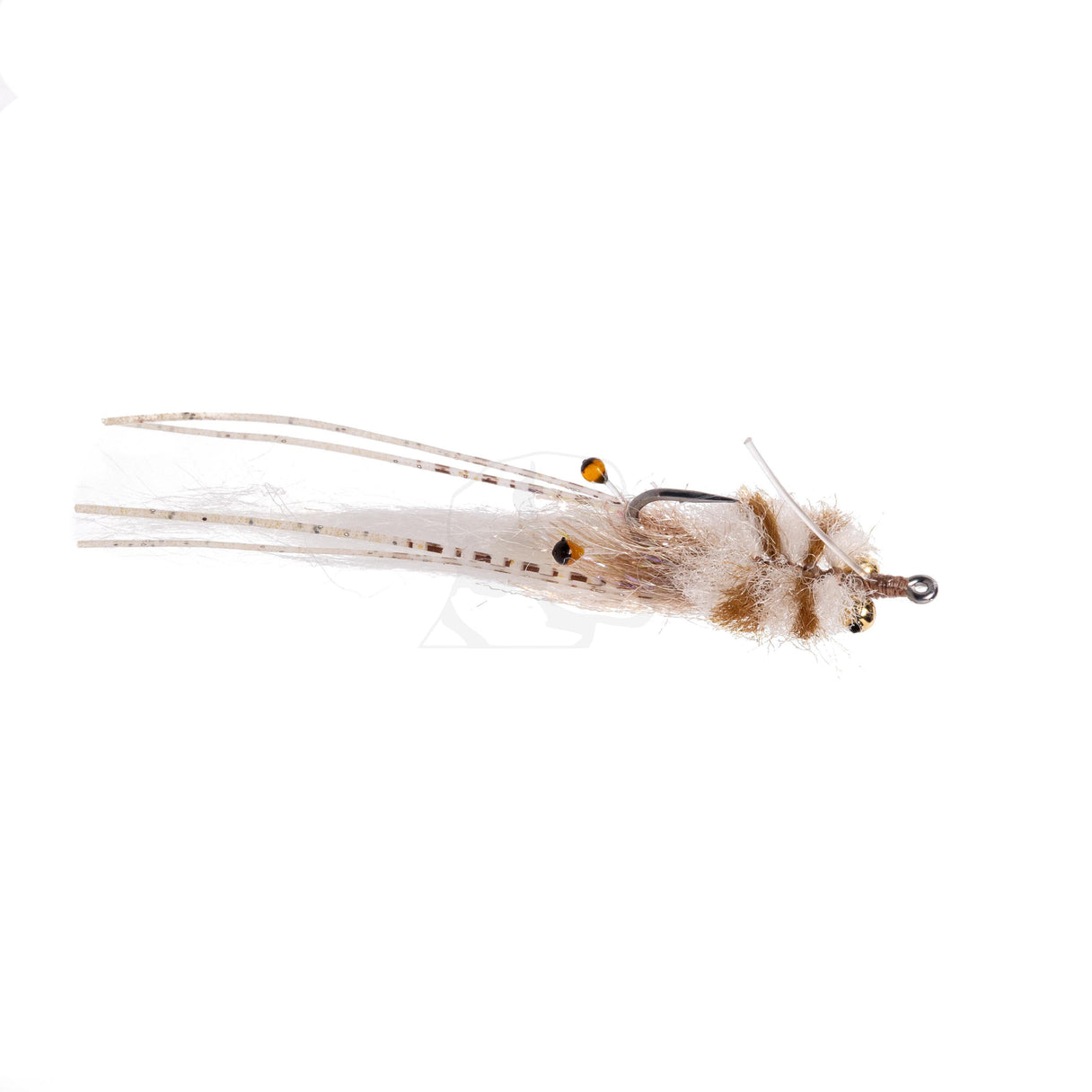 Texas Toad - Size 2