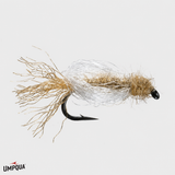 Iris Caddis