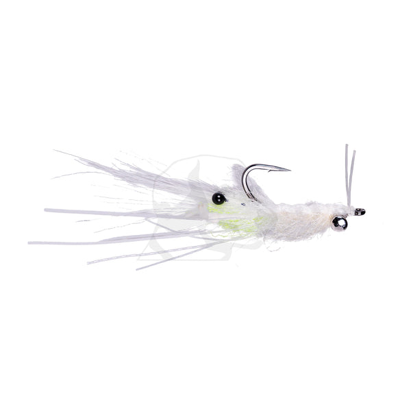 Truffle Pig Mantis Shrimp - Lead Eye