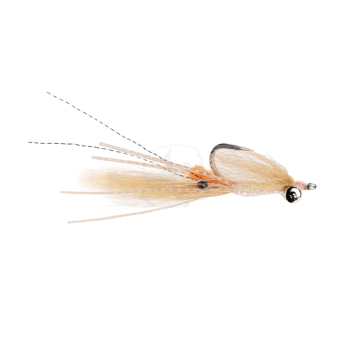 Fly Spawn Shell Umpqua Spawning Shrimp - Lead Eye | Yellow Dog Flyfishing