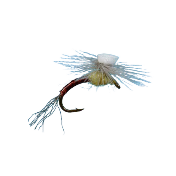 Solitude PMD Sprout.