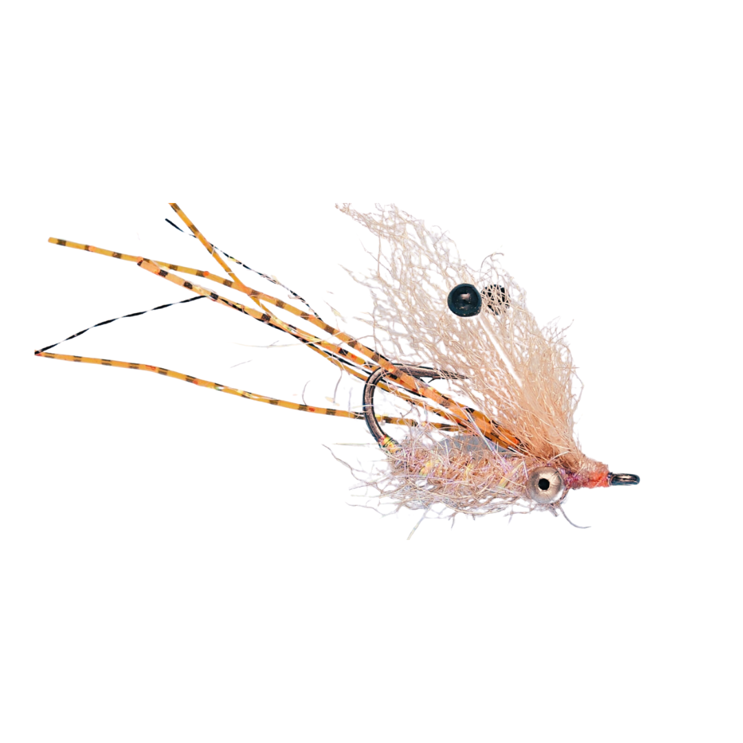 Beadchain EP Ghost Shrimp - Tan