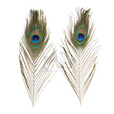 Peacock Eyes - Natural