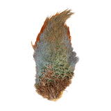 Ringneck Pheasant Rump Patch