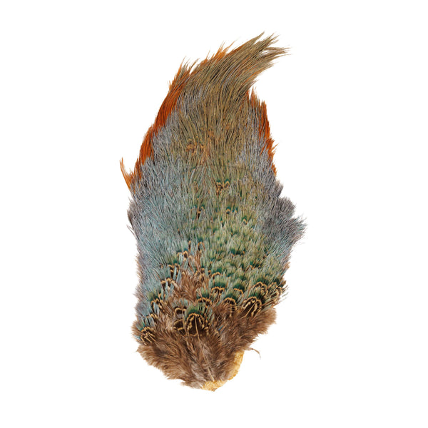Ringneck Pheasant Rump Patch