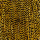 Whiting Farms Rooster Cape - Pro Grade