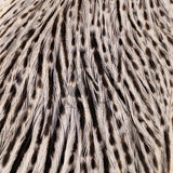 Whiting Farms Hebert Miner Hen Cape