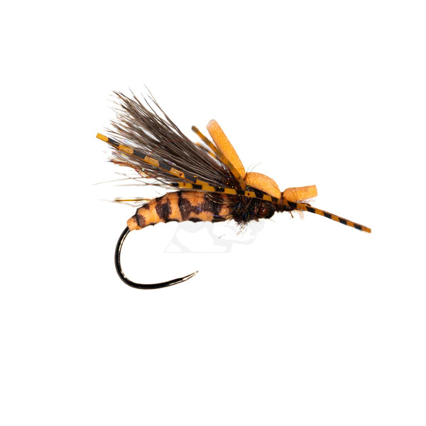 Solitude Stone Squatter - Orange - Size 6.