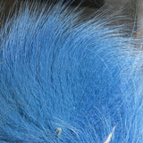 Arctic Fox Tail Hair (Medallions)