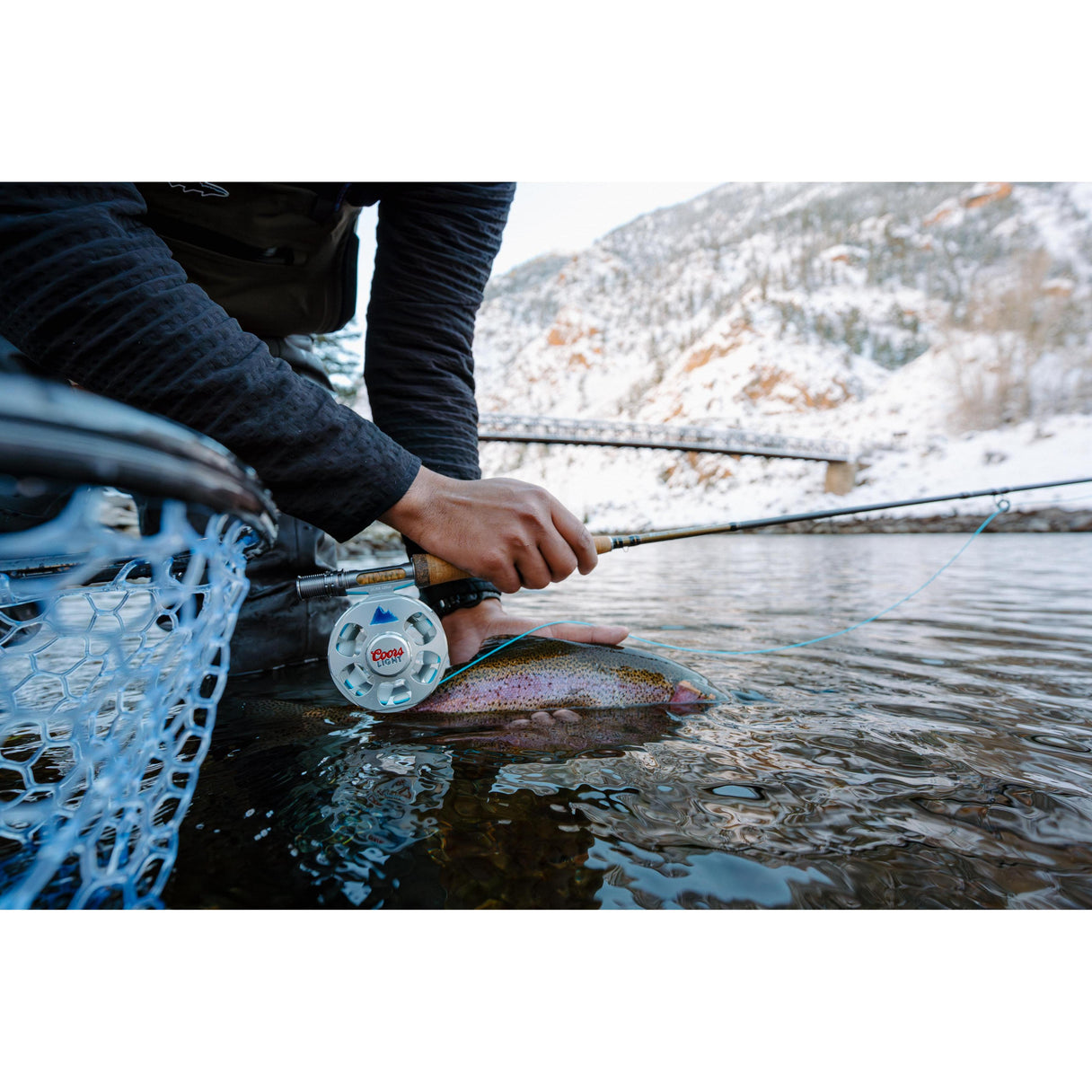 Ross Cimarron LT Reel Coors Light / 5/6