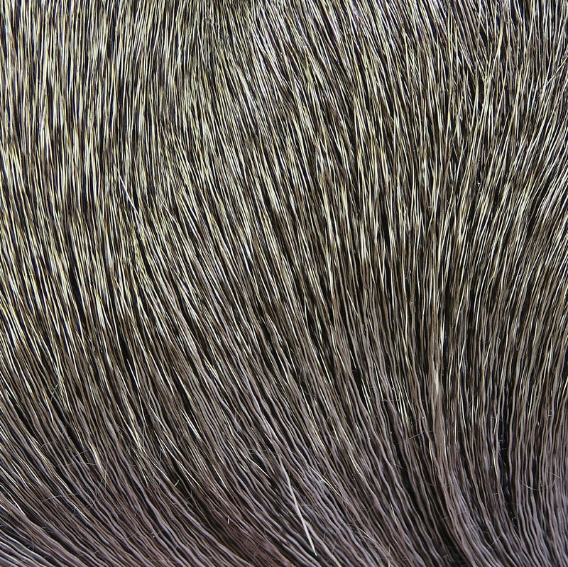Deer Body Hair