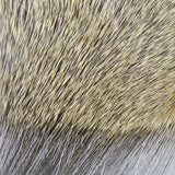Deer Body Hair