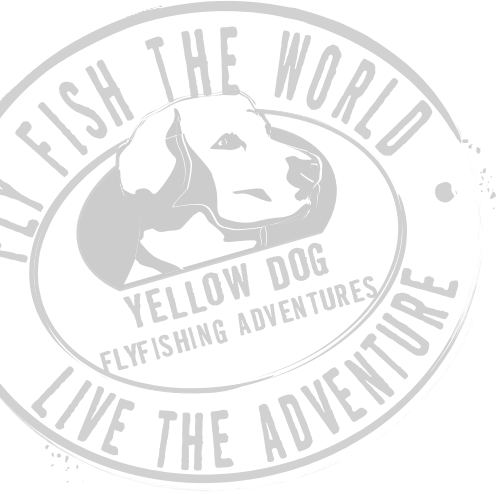 Underwood Redfish Tail (Left) Sticker | Yellow Dog Flyfishing
