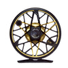 Black/ Gold