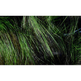 Frostip Rabbit Strips