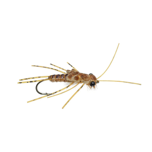 Close-up of Goodman's Rolling Stone fly, golden size 8, showing segmented body, rubber legs, lifelike eyes, and visible hook on white background