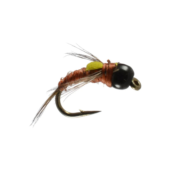 Lickety Split - Brown - Size 16