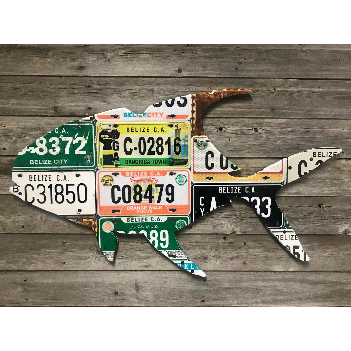 Cody's Fish Belize Permit License Plate Art