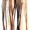 Barred Dark Ginger