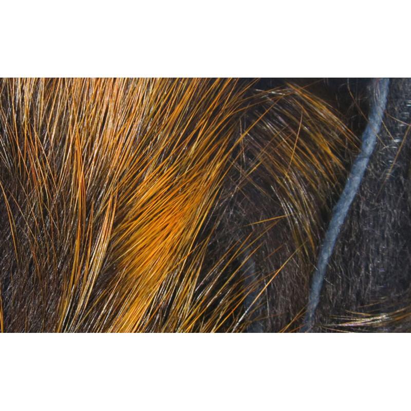 Frostip Rabbit Strips