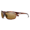 Polarized Brown