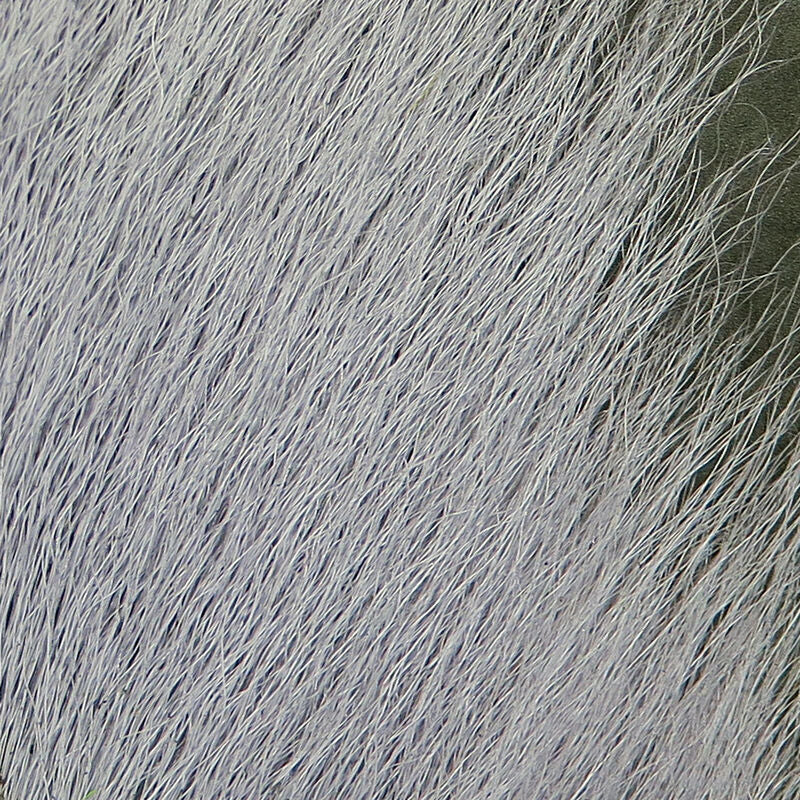 Bucktail