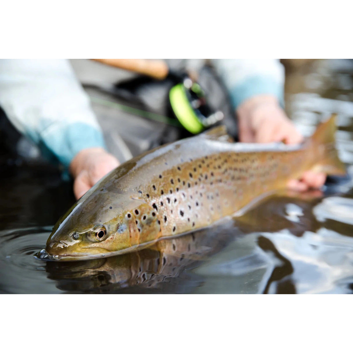 100 Test Braided Fishing Line Modern Trout Fly Line WF3F To WF6F