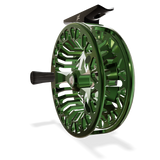 Abel VAYA - Deep Green/Black - Size 5/6