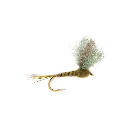Burkus' Flavilinea Dun - Size 14