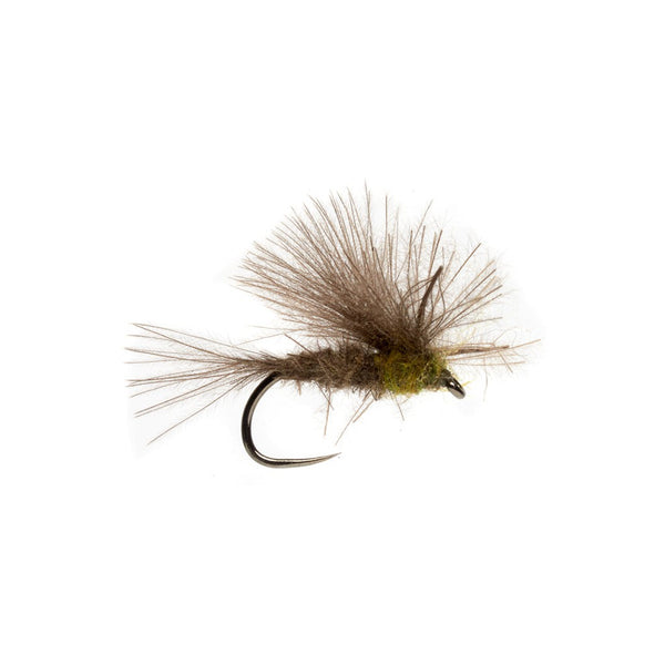 Fulling Mill Elden's CDC BWO Emerger - Size 18.