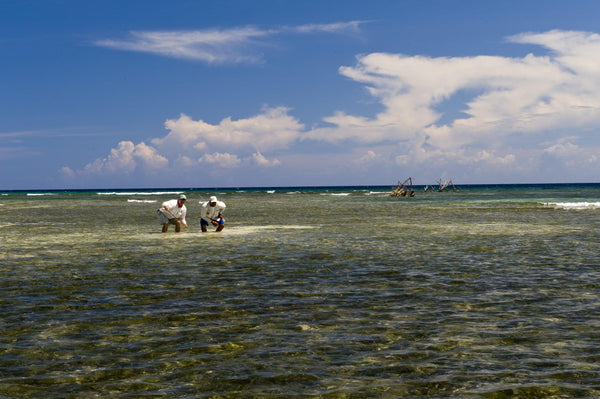 Fly Fish Guanaja Lodge