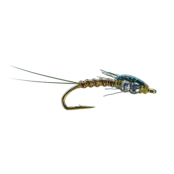 Tungsten Bead Slim Shady - Olive - Size 22